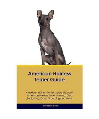 AMER HAIRLESS TERRIER GD AMER, Sebastian Bond