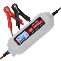 Dino BatterieladegeräT Kraftpaket 6V/12V-4A ErhaltungsladeräT Mit Batterietester