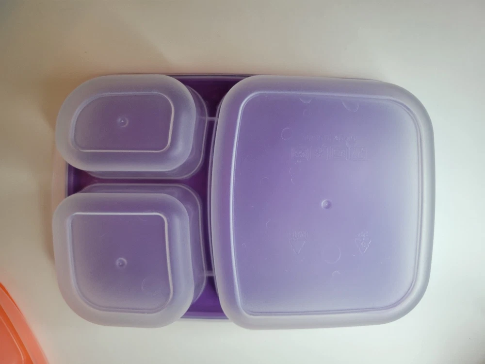 Bento Box With 3 Divided Sections Multicolored Plastic Lunch Packing Set of 4