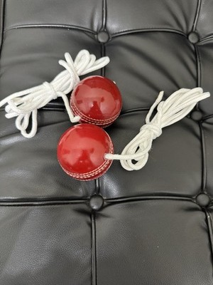 Cricket Hanging Ball for Practice, Genuine leather, Red