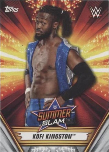 WWE SummerSlam Official New PPV Chair (will Ship) | eBay