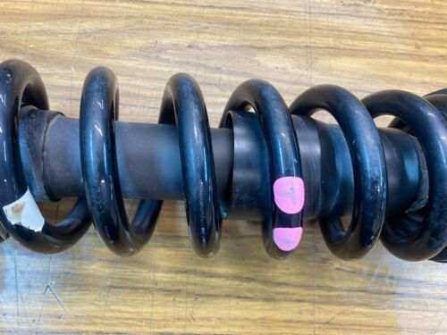 Ford Ranger PX2 4X4 2017 W/T 43,000KMS Front Right Strut EB3C-18045-TA - Picture 3 of 7