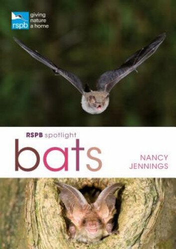 Thumbnail - Rspb Spotlight Bats By Jennings, Nancy