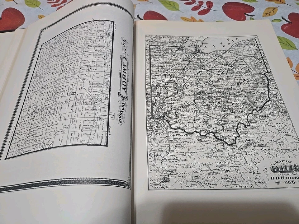Illustrated Atlas , Fulton Vounty Ohio 1858 Compiled By Skinner & Kenyon - Image 3 of 4