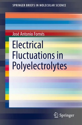 José Antonio Fornés | Electrical Fluctuations in Polyelectrolytes | Taschenbuch