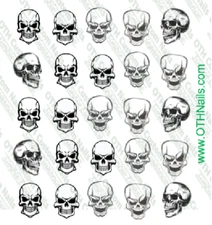 Skull Waterslide Nail Decals Set of 25 Salon Quality