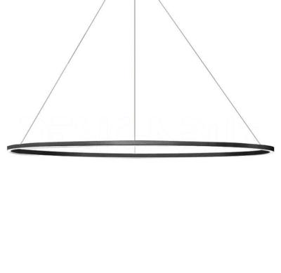Nemo, Ellipse Major Hängend Downlight Schwarz, Friedrich Palazzari