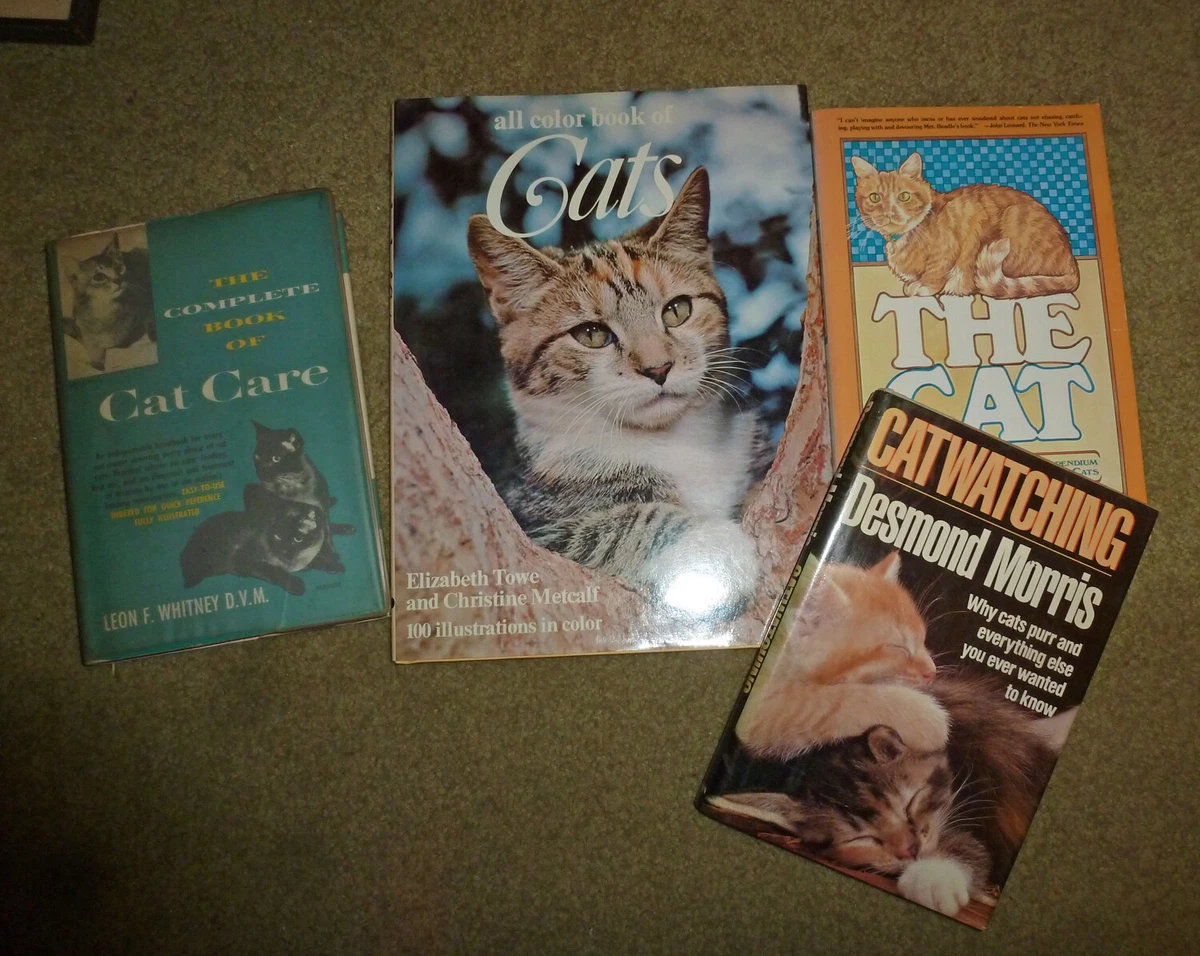 4 Cat Books - All Color Book of Cats, Cat Watching, Complete Book of Cat  Care +1