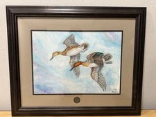DUCKS UNLIMITED 2022 GREEN-WING TEAL SPECIAL EDITION DU-MEXICO PRINT! NIB!