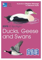 Rspb Id Spotlight - Ducks, Geese And Swans | Marianne Taylor | Englisch | Buch