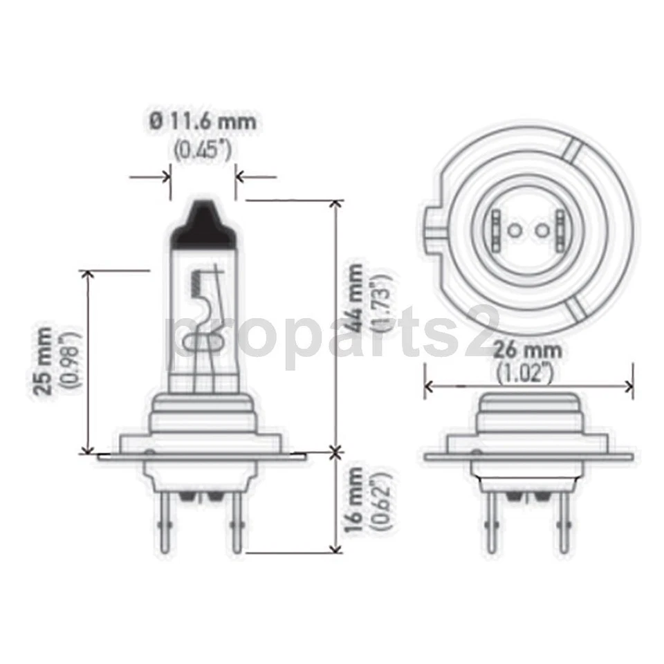 Hella 2X Bombilla Faro Para 2002 2003 2004 2005 2006 BMW 325xi Foto 4 de 4