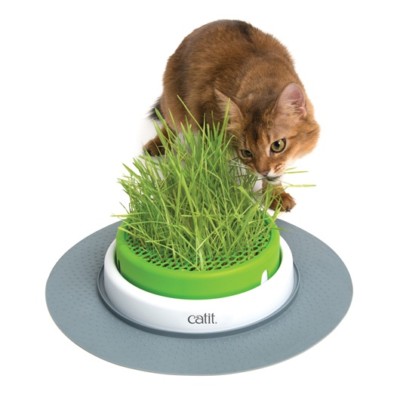 CATIT SENSES 2.0 GRASS PLANTER - 43161