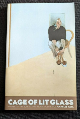 Cage of Lit Glass by Charles Kell (2019, Trade Paperback) Autumn House Press - Bild 1 von 2
