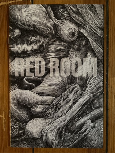 Red Room 1 2 3 Cover B Incentive Ed Piskor (Kayfabe) Troy Nixey, Takashi Okazaki - Picture 4 of 7