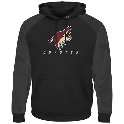 NHL Sweater Arizona Coyotes Hoody Kaputzenpullover Pullover hooded Penalty 