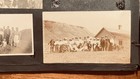 300+ Antique American Photo Album  Virginia, Arizona, Seneca, Grand Canyon — photo 6