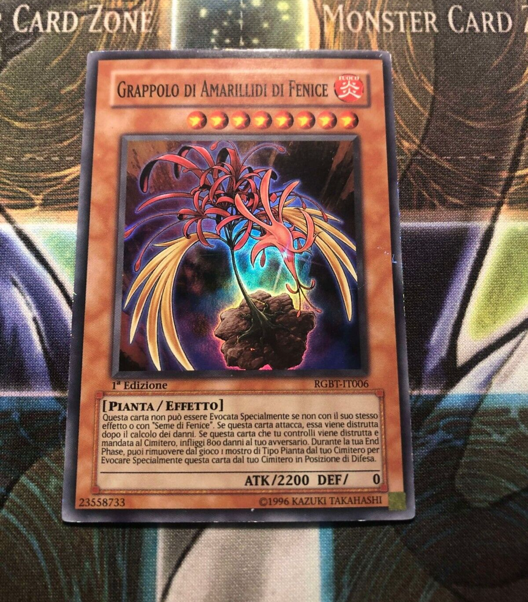 PHOENIXIAN CLUSTER AMARYLLIS * ITALIAN 1ST EDITION SUPER RARE RGBT