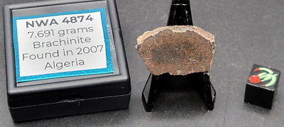 NWA 4874 (7.691g) Brachinite Meteorite, Thick Polished Slice, IMCA