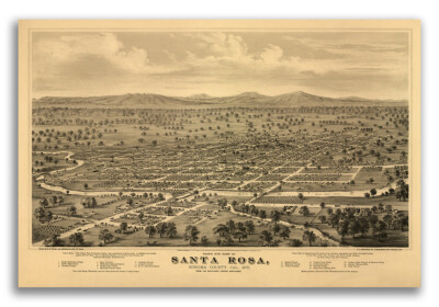 1876 Santa Rosa California Vintage Old Panoramic City Map - 16x24