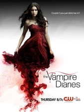 V1683 The Vampire Diaries Nina Dobrev TV Series Decor WALL POSTER PRINT CA