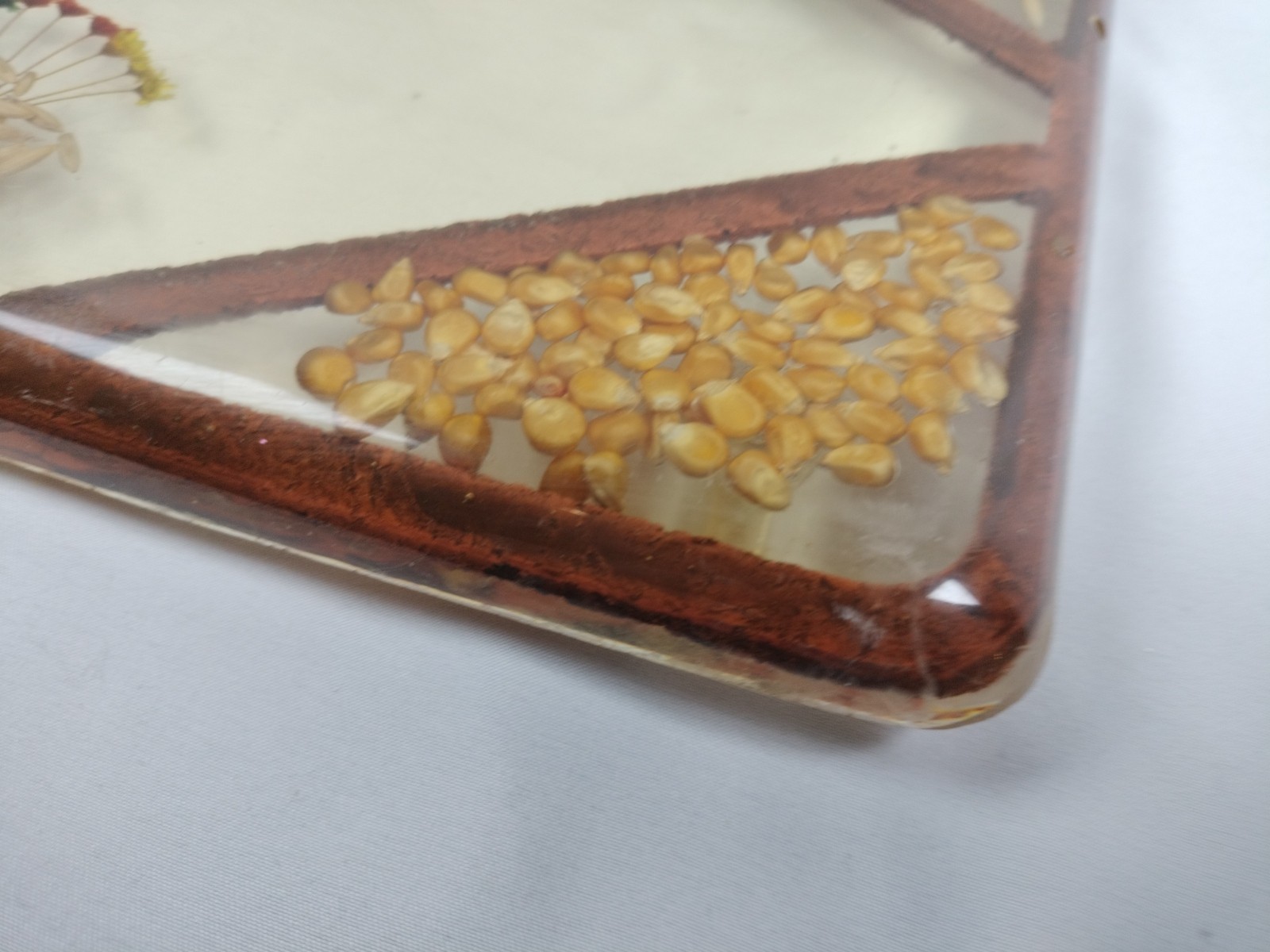 Vintage Butterfly Large Lucite Acrylic Dried Seeds Footed Trivet 11.5”x7"