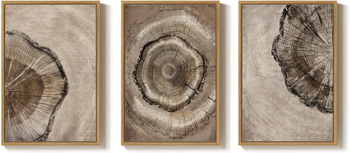 Large Framed Neutral Vintage Wall Art for Living Room, 3 Piece