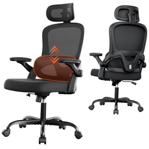 Ergonomic Office Chair, High Back Computer Chair with Adjustable Lumbar Black