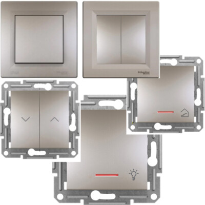 Schneider Asfora Schalter Taster  Bronze DVE CE  Doppel Serie Optionen