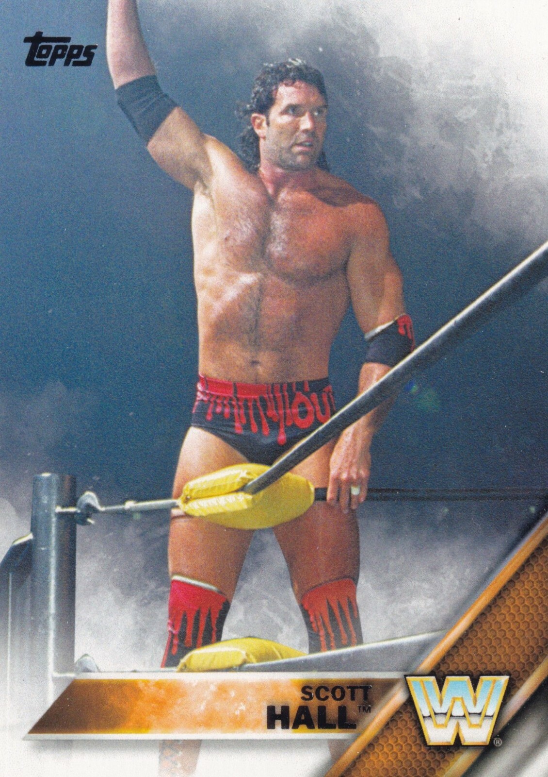Scott Hall 2016 Topps WWE Card #91 Razor Ramon AWA WWF WCW nWo Legend Superstar