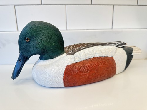 Shoveler Drake Wood Wooden Duck Glass Eyes Eye Signed Royce Evans C Evans - Picture 2 of 12