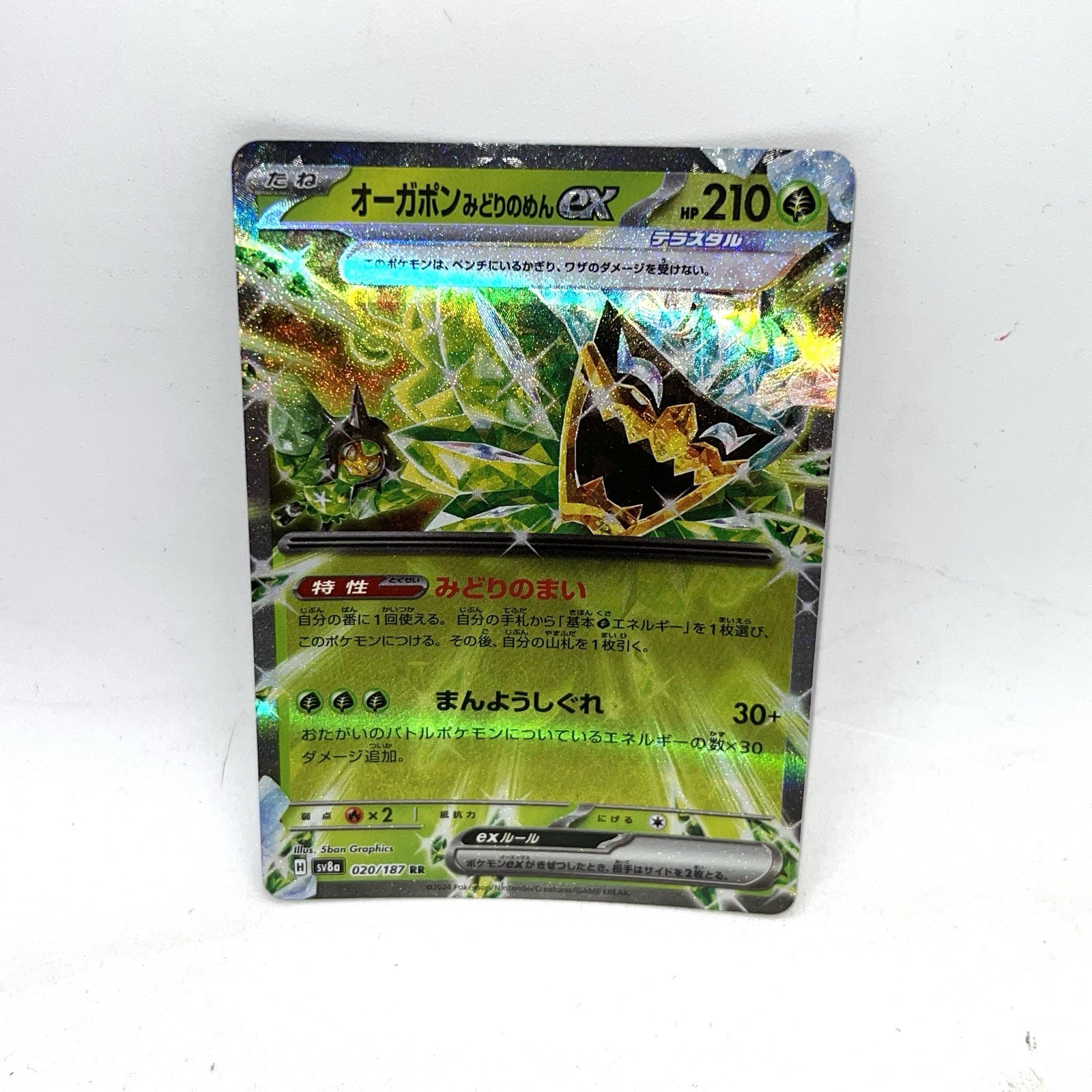 Teal Mask Ogerpon ex 020/187 NM Terastal Festival ex Japanese Pokemon Card TCG