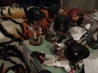 Lot Of 11 Different  Begin W Jacob MISIOROWSKI Udder Tuggers See More In The Arc — photo 8
