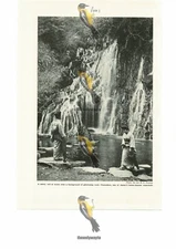 Tamadare Waterfall, Japan, Book Illustration (Print), 1935