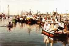 Postcard Olympia Washington Harbor Days Celebration of Puget Sound