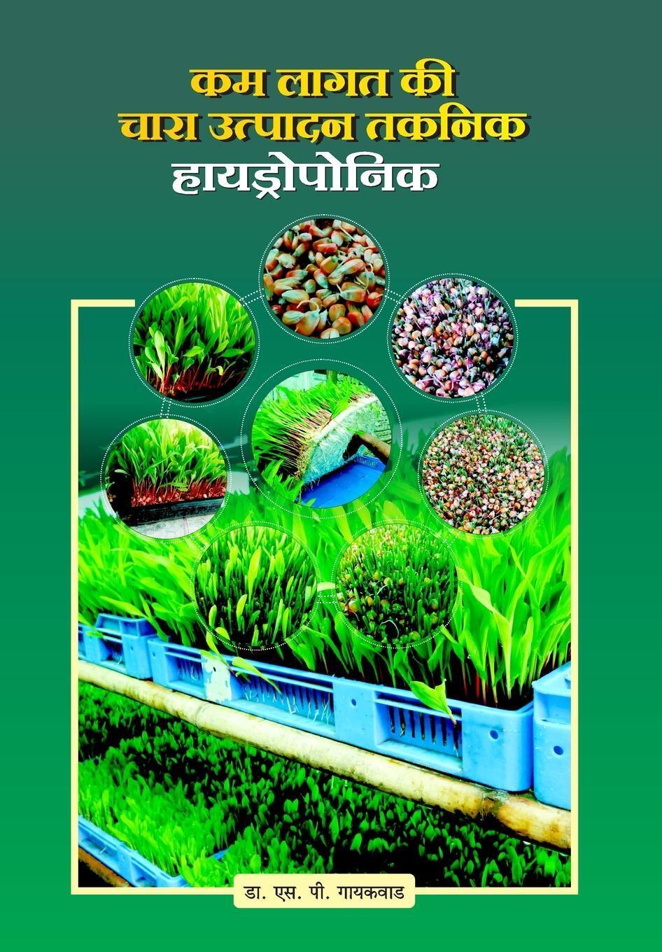 Kam Lagat Ki Chara Utpadan Taknik Hydroponics Shantaram Gaikwad
