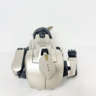JUNK !! SONY AIBO ERS-210 Body Operation not confirmed item from