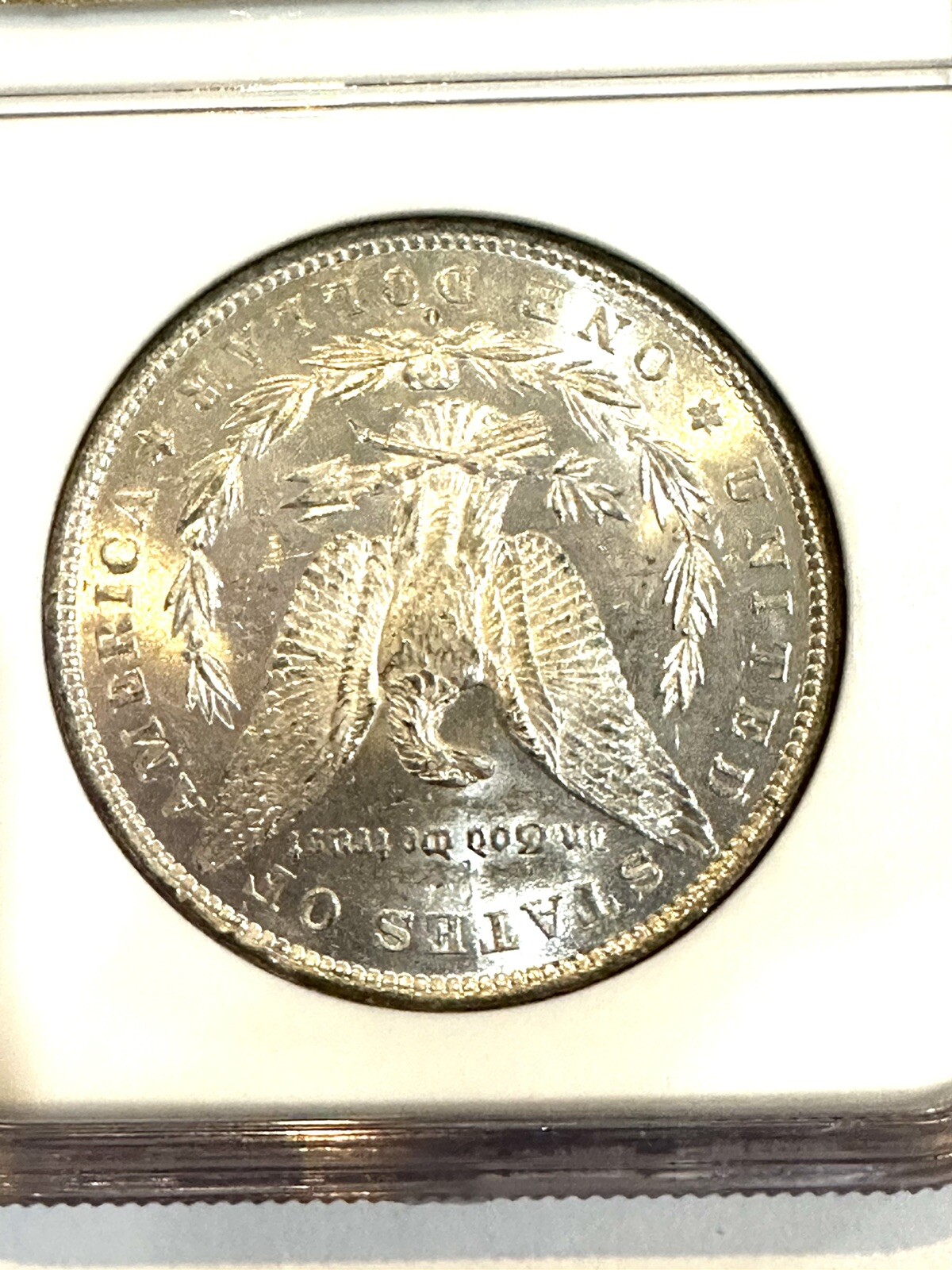 Picture 5 of 5