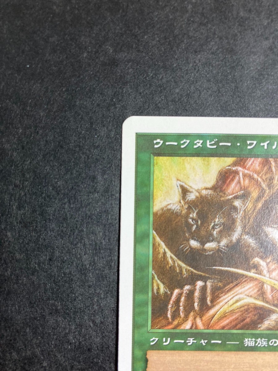 MTG Magic The Gathering Utabby Wildcat Card Games Japanese