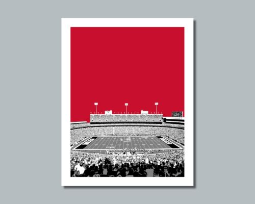 HIGHMARK STADIUM Photo Picture BUFFALO BILLS SKYLINE - 8x10 11x14 16x20 (NTWB1W) - Picture 19 of 21