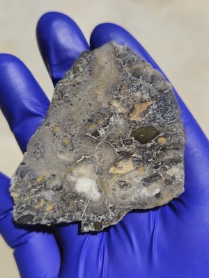 NWA 17352 Lunar Meteorite Slice 22.132g Polished Breccia Rare