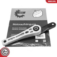 Esen SKV Lagerung, Motor 75SKV334 FüR Audi Seat Skoda VW