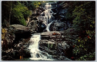 Vtg Tennessee TN Ramsey Cascades Great Smoky Mountains National Park Postcard