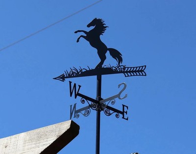 Wetterfahne hochwertig schwarz Metall Aufzucht Pferd Silhouette