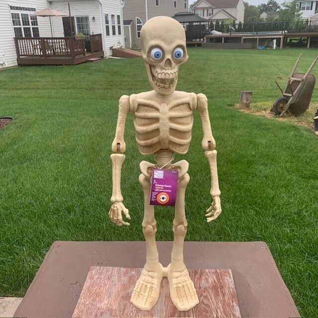 Home Depot Holiday Accents 3 ft Halloween Animated LED Dancing Singing