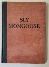 Sly Mongoose By Kathrine Pollock
