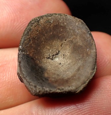 Jura Ichthyosaurier Knochen (Wirbel) aus Lyme Regis (21mm) Meeresreptil UK