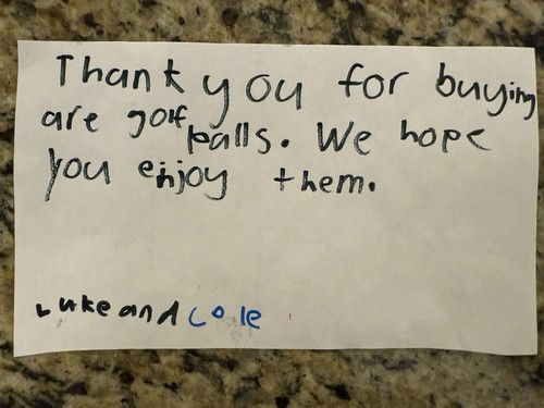 17 Mixed Titleist Golf Balls โณ Hand-Washed by Kids ๐ First Business Fundraiser - Picture 3 of 3