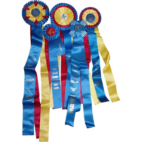 Lot Of 5 Horse Show Award Ribbons Rosettes Championship Sash Decor Craft