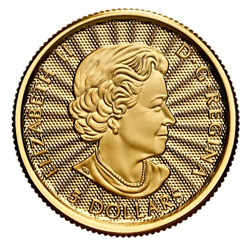 MAJESTIC POLAR BEAR 2022 CANADA 1/10oz .9999 Pure 24k GOLD Bullion $5 Coin - Picture 3 of 7
