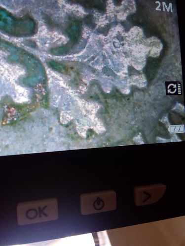 1983 D Roosevelt Dime Double Die, Half Top Layer Missing On Reverse - Picture 6 of 15